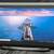 Wacom Mobile Studio Pro 16 DTH-W1620 1 thumbnail
