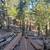 Amazing Home 2 Share - Spirit Rock/Treehouse Energy 14 thumbnail