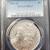 Graded & Raw Silver Coins 2 thumbnail