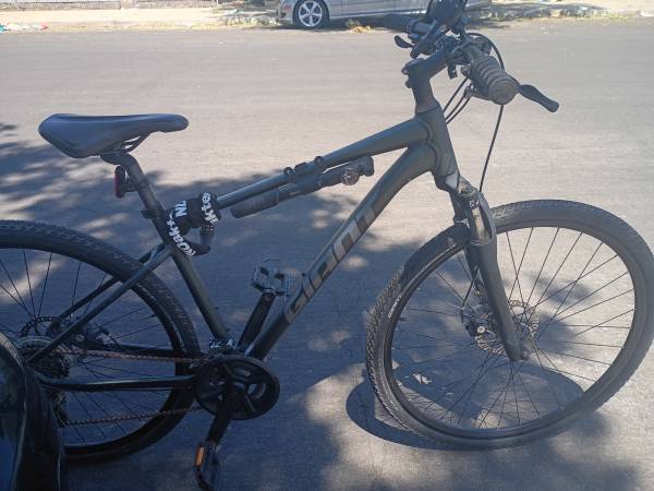 Giant Roam 1