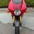 2003 Moto Guzzi V11 LeMans Rosso Corsa limited edition 18 thumbnail