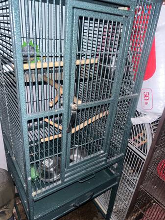 Bird cages for sale63429171582851123