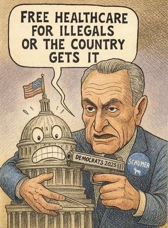 Schumer Shutdown64295609663747120