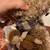 Bearington Teddy Bear Ima Spinster Crazy Cat Lady Free Tuna Kitties 12 thumbnail