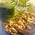 Desktop Jarrarium – Cherry Shrimp + Plants + Marimo 7 thumbnail