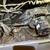 HVAC -HEATING-COOLING-ELECTRICAL-PLUMBING -SERVICES. 17 thumbnail