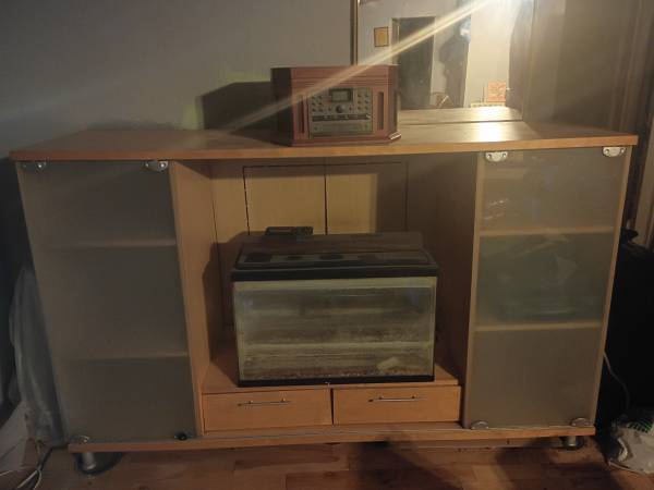Entertainment Case 1
