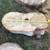 Cottonwood Round Slabs 22 thumbnail