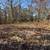 3 Acres For Sale! 15 thumbnail