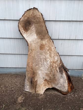 Black walnut slab 1