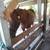Aqha X-ATHLELE from Track 3 thumbnail