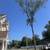 SL landscaping & Tree service 1 thumbnail