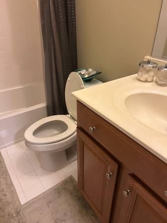 $1,050 Large Room with Private On Suite Bath and Walk in Closet63896274692610123