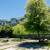 Find your Dream Apartment in Novato at Bridgecreek 13 thumbnail