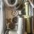 Commercial Meat grinder 3 thumbnail