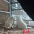 Livestock guardian pups 9 thumbnail