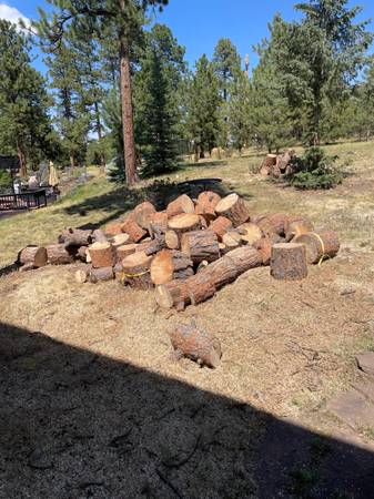 Free Firewood (had beetle kill) 1