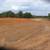 Land clearing, Tanks &Ponds, Driveways & Roads, Building Pads 13 thumbnail