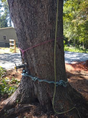 Tree Removal/Land Clearing/Much More 1