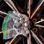 20" Mazda CX-50 Wheels with Tires (4 Wheels & Tires) 2 thumbnail