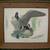 ►► Wildlife Art - Canada Goose - Signed Richard Sloan 1 thumbnail