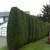 Tree Pruning Hedge Trimming Lawn Garden Maintenance Owner Operated 12 thumbnail