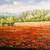 Original Large Oil Painting – Red Flower Field Landscape in Black & Go 11 thumbnail