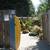 Closing Nursery low price plants Open 9-5 in Capitola 1 thumbnail