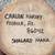 KACHINA DOLL - SIGNED CARLON HARVEY - HOPI CLOUD MAIDEN - ANTIQUE 4 thumbnail