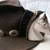 Vintage Porcelain Horse Head Clothes and Hat Brush 3 thumbnail
