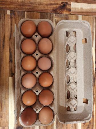 Free range chicken eggs 1