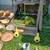 Miscellaneous garden items 1st $200 Takes it all. 4 thumbnail