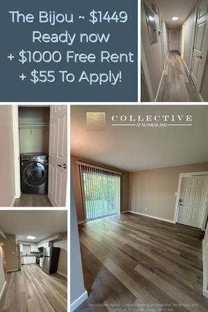 $1,449 / 2br - 1000ft2 - 🌟Hermoso apartamento de 2 habitaciones y 1 baño ¡SOLO $1449 HOY!! 🌟 (Knoxville, TN)63815667361667120