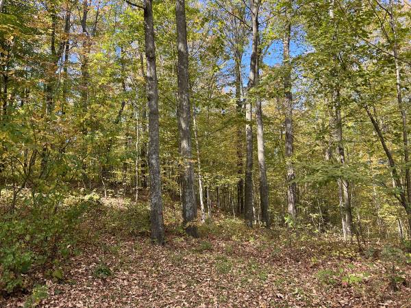 $549,900 / 2br - ROSHOLT . . .  40 acres! (Rosholt)63845967582339122