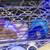 guinea pigs 2 thumbnail