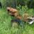 2-1950s Allis Chalmers B tractor wide front 5 thumbnail