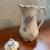 Porcelain chocolate pot Brunswick 1 thumbnail