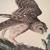 Audubon Print Exquisite reprinted w/excellent details of the original 14 thumbnail