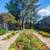 🌞 Resort-Style Poolside Relaxation Awaits at Cherrywood 4 thumbnail