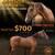 Stud Service: AQHA Bay Dun Paddys Irish Whiskey 1 thumbnail