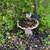Charming Kenwood Cottage 15 thumbnail