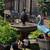 Garden fountain 2 thumbnail