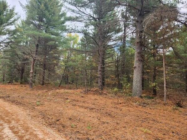 $52,900 4.79 Acres in Baldwin MI. A Builder's dream!! (Baldwin)64308163001218122