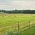 Round Bale Hay 2 thumbnail
