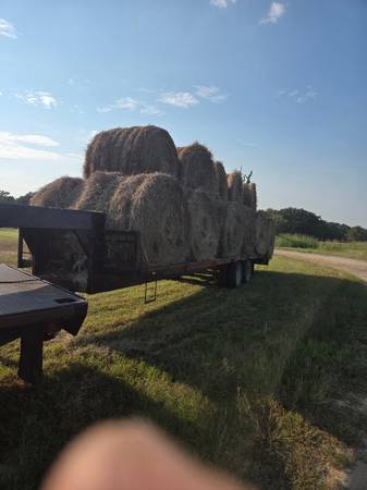 Fertilized coastal 4x5 1