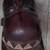 African Chokwe Mask 4 thumbnail