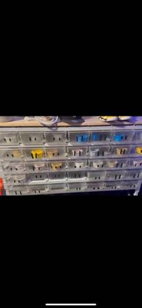 Hatchling rack (Colorado springs)63920762775170121