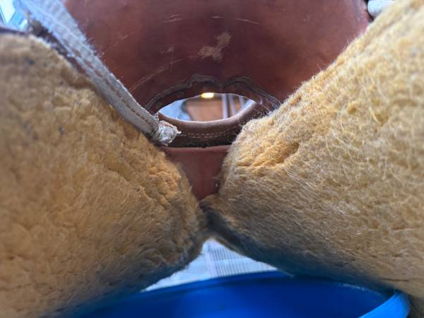 Saddle 1