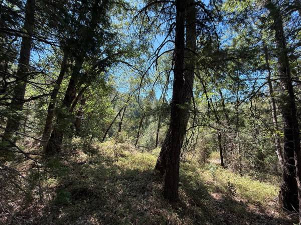 $149,000 15.47 Acres, End of the Road Privacy, Spring Fed Creek, Small Cabin (Nevada City)63952104229378124