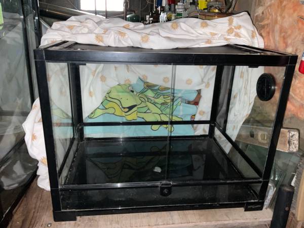 Tarantula Terrarium 1